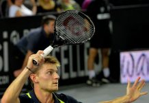 Goffin avanzó a la final