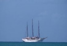 Primer crucero del 2014