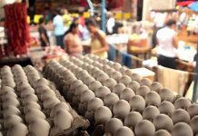 Comerciantes denuncian en Procompetencia altos precios del huevo