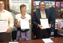 Crean mesas sectoriales en varios rubros
