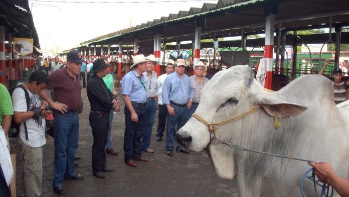 images_SECCIONES_PAGINA_WEB_CRONICATN8_ECONOMIA_2014_Julio_14_AL_20_expica17072014
