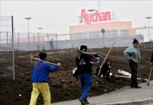 Libre circulación para rumanos y búlgaros en UE