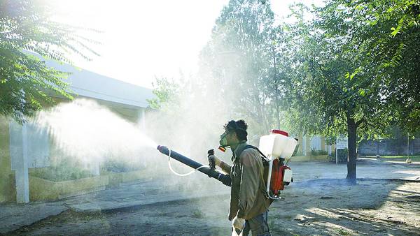 images_SECCIONES_PAGINA_WEB_CRONICATN8_INTERNACIONALES_2014_Agosto_11_AL_17_Argentina_casos_chikungunya-12082014