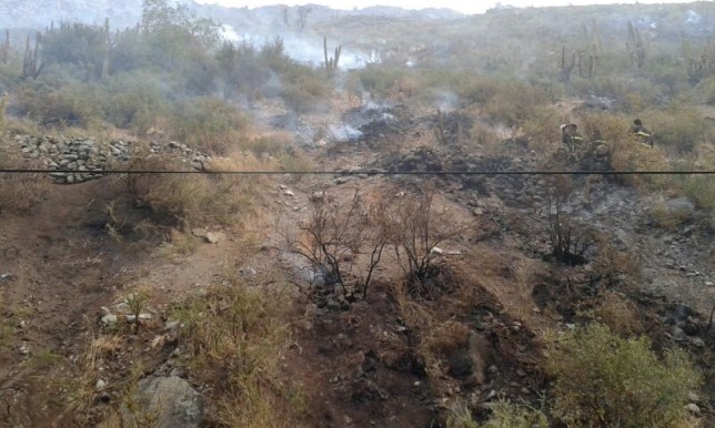 images_SECCIONES_PAGINA_WEB_CRONICATN8_INTERNACIONALES_2014_ENERO__DEL_01_ENE_AL_05_CHILE_INCENDIO_050114