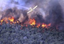Australia arde con decenas de incendios forestales