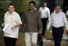 FARC proponen sustitución de cultivos ilícitos