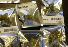 Panel de Washington estudia despenalización de la marihuana