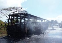 Turistas se llevan buen susto