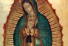 Afinan detalles para Cruzada Nacional del Milagro de Guadalupe