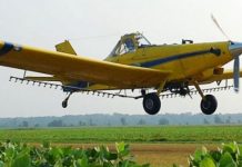 Paraguay: campesinos continúan rechazo fumigación