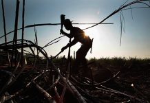 Miles de hombres mueren por una misteriosa epidemia en América Central
