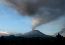Alpinista estadounidense muere escalando en México