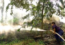 Alerta en departamento de Colombia por altas temperaturas