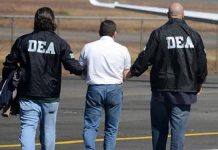 DEA mantenía reuniones secretas con miembros de cárteles, denuncia prensa mexicana