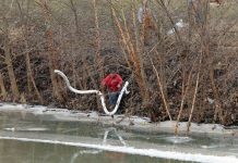 Declaran estado de emergencia por químico vertido en un río de EE.UU
