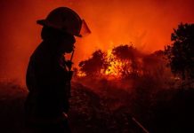 Incendios forestales siguen afectando a Chile