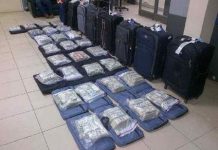 Incautan $7 millones a hondureños en aeropuerto de Panamá