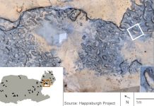 Hallan huellas humanas de hace 800.000 años