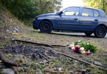Policía francesa detiene a un sospechoso de «Matanza en los Alpes»