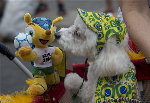 BRASIL-CARNAVAL DE PERROS