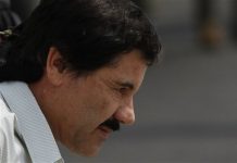 Capo mexicano «Chapo» Guzmán intenta resistir eventual extradición a EEUU