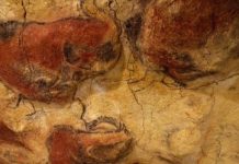 La cueva de Altamira en España vuelve a abrir al público tras doce años