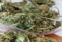 Dona su ropa y olvida una bolsa llena de marihuana