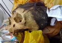 Hombre va a prisión en Argentina por intento de contrabando de momia peruana