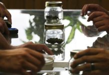 Washington aprueba el primer fabricante de comestibles de marihuana