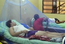 Bolivia aumenta medidas sanitarias para contrarrestar virus chikungunya