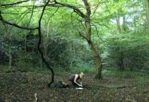 Escuela permite a niños aprender en el bosque