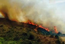 Evacuadas 180 personas en España por dos incendios