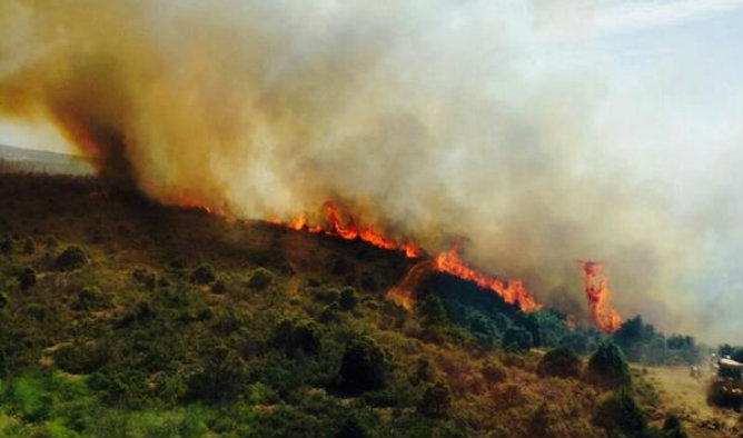 images_SECCIONES_PAGINA_WEB_CRONICATN8_INTERNACIONALES_2014_Julio_14_AL_20_EVACUACION_ESPANA18
