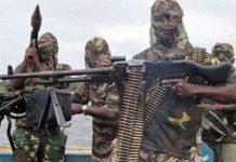 La policía de Nigeria detiene a uno de los «carniceros» de Boko Haram