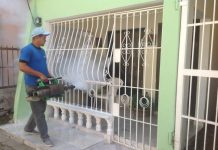 Puerto Rico declara epidemia por chikungunya