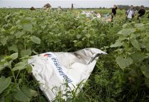 Recolectan ADN para identificar víctimas de avión