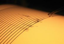 Sismo de 5,5 se registró en Bolivia, siendo el más grande en 10 años