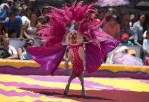 Polémica por uso de animales en circos en México sigue creciendo