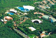 Cuidador de un zoo español recibe por error un disparo tranquilizante