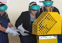 Policía de Honduras inicia destrucción de 7.000 armas y 5.000 municiones