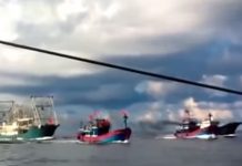 Un barco chino hunde un bote de pesca vietnamita en la zona en disputa
