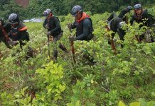 Perú anuncia cambio en su estrategia antidrogas