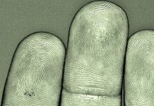 Los holandeses descubren el secreto de la edad de las huellas digitales