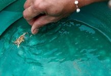 Denuncian que hay oro en el agua del grifo de un pueblo en Montana