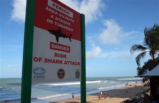 MUNDIAL TIBURONES