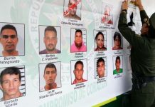 Capturan en Colombia a cabecilla de banda criminal «Clan Usuga»