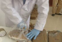 Decomisan más de 600 kilos de droga en estado mexicano Chiapas