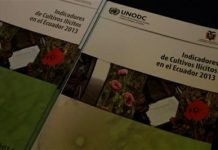 Ecuador se mantiene como un país libre de cultivos ilícitos