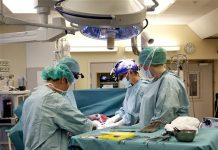 Cuatro mujeres suecas intentan concebir con úteros transplantados