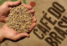 La sequía de Brasil dejará un déficit de 2 millones de sacos de café